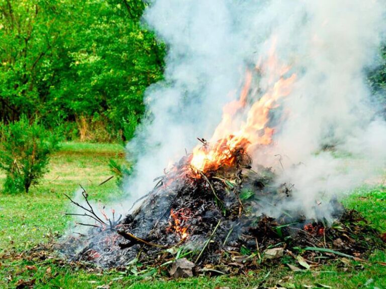fire