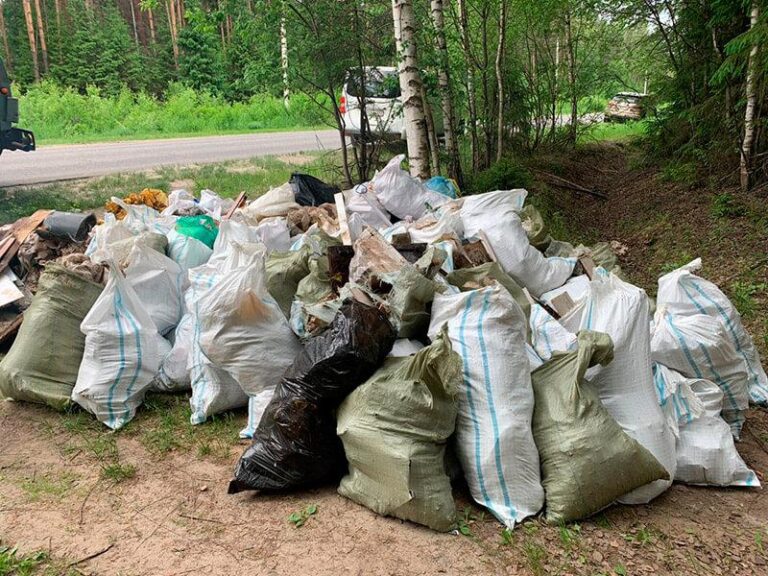 nezakonnye_svalki